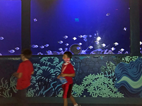 the boys at playing at Sea Life Aquarium